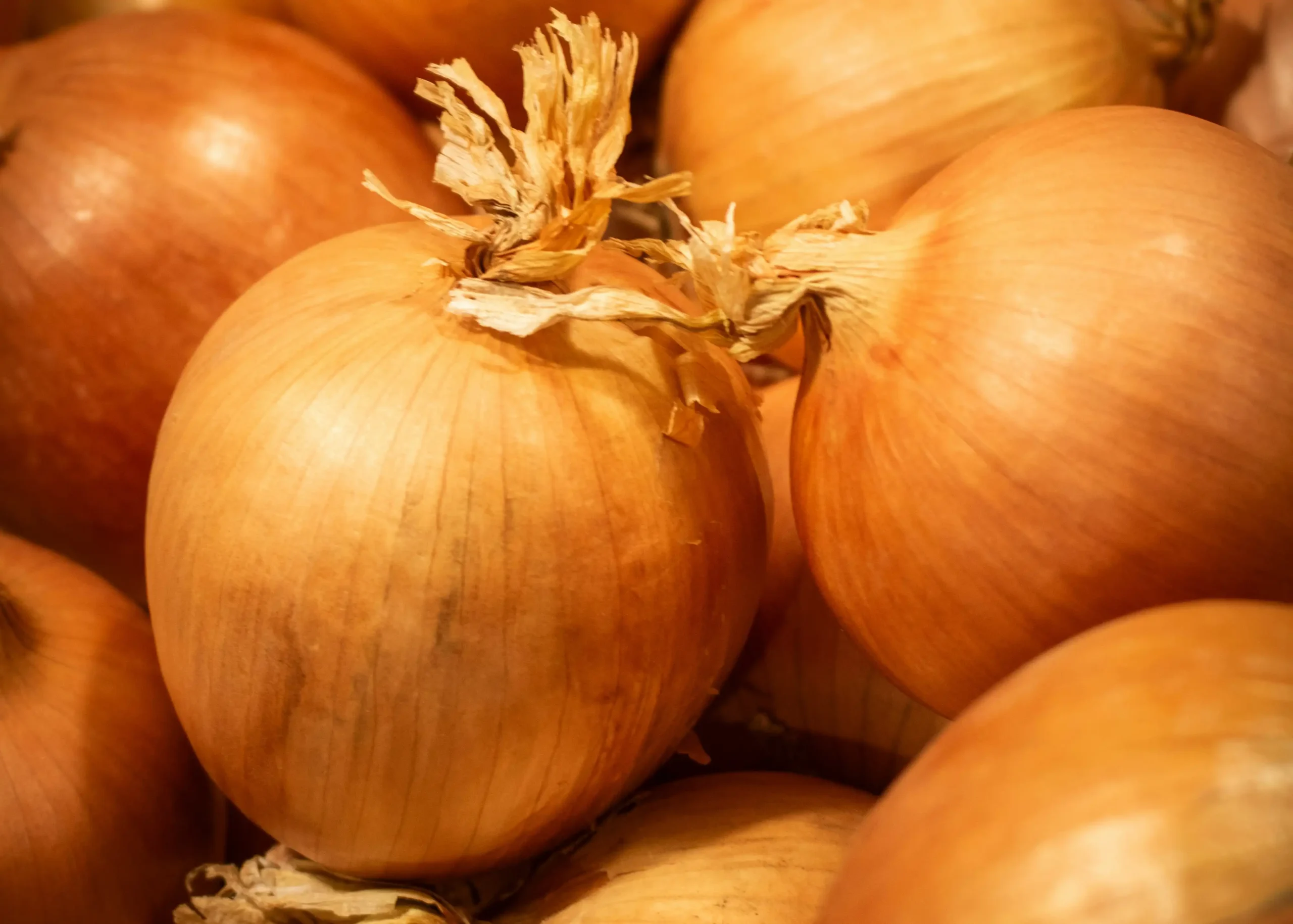 Brown Onion Delicious New Zealand brown onions