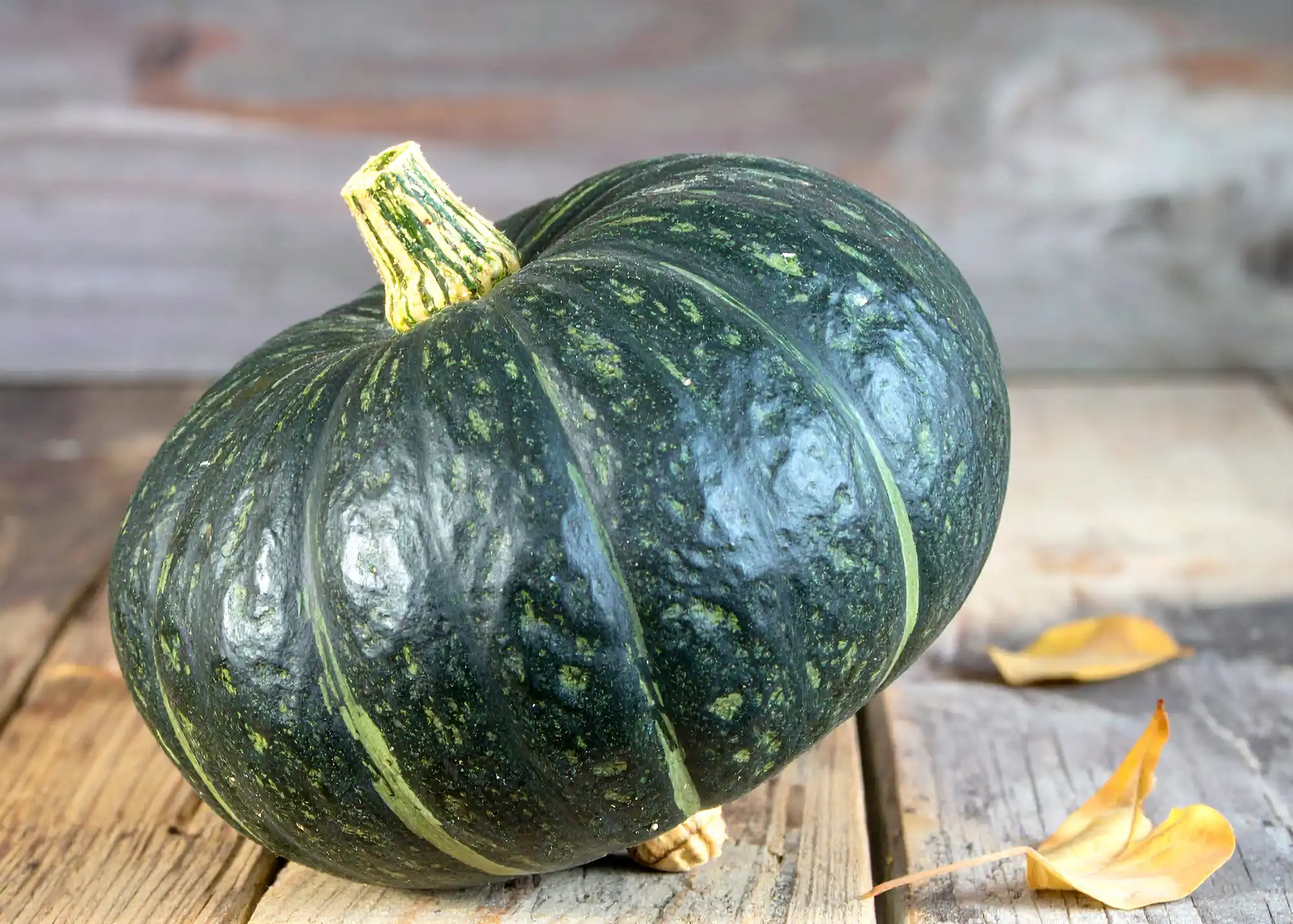 Buttercup Pumpkin Delicious New Zealand grown buttercup pumpkin