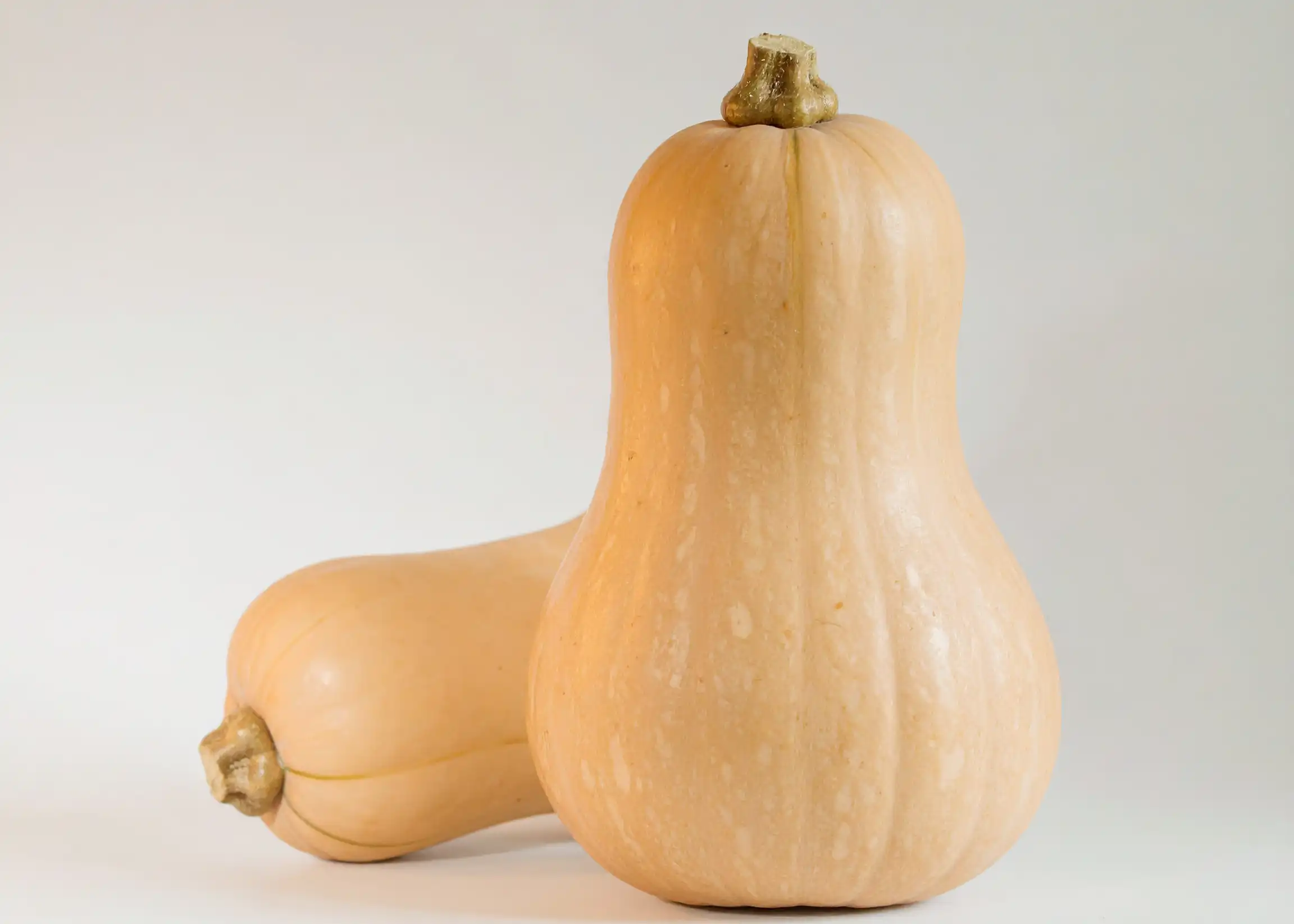 Butternut Pumpkin Delicious New Zealand butternut pumpkin