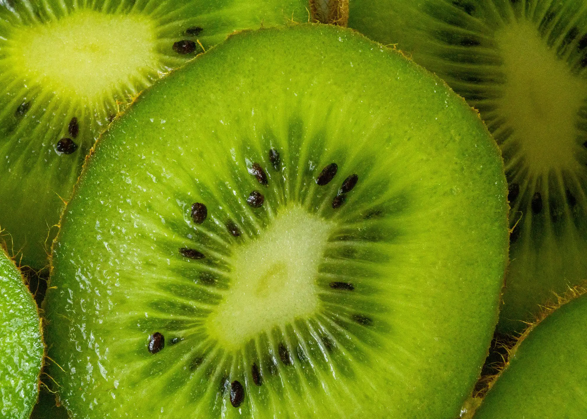Green Kiwifruit New Zealand grown green kiwifruit