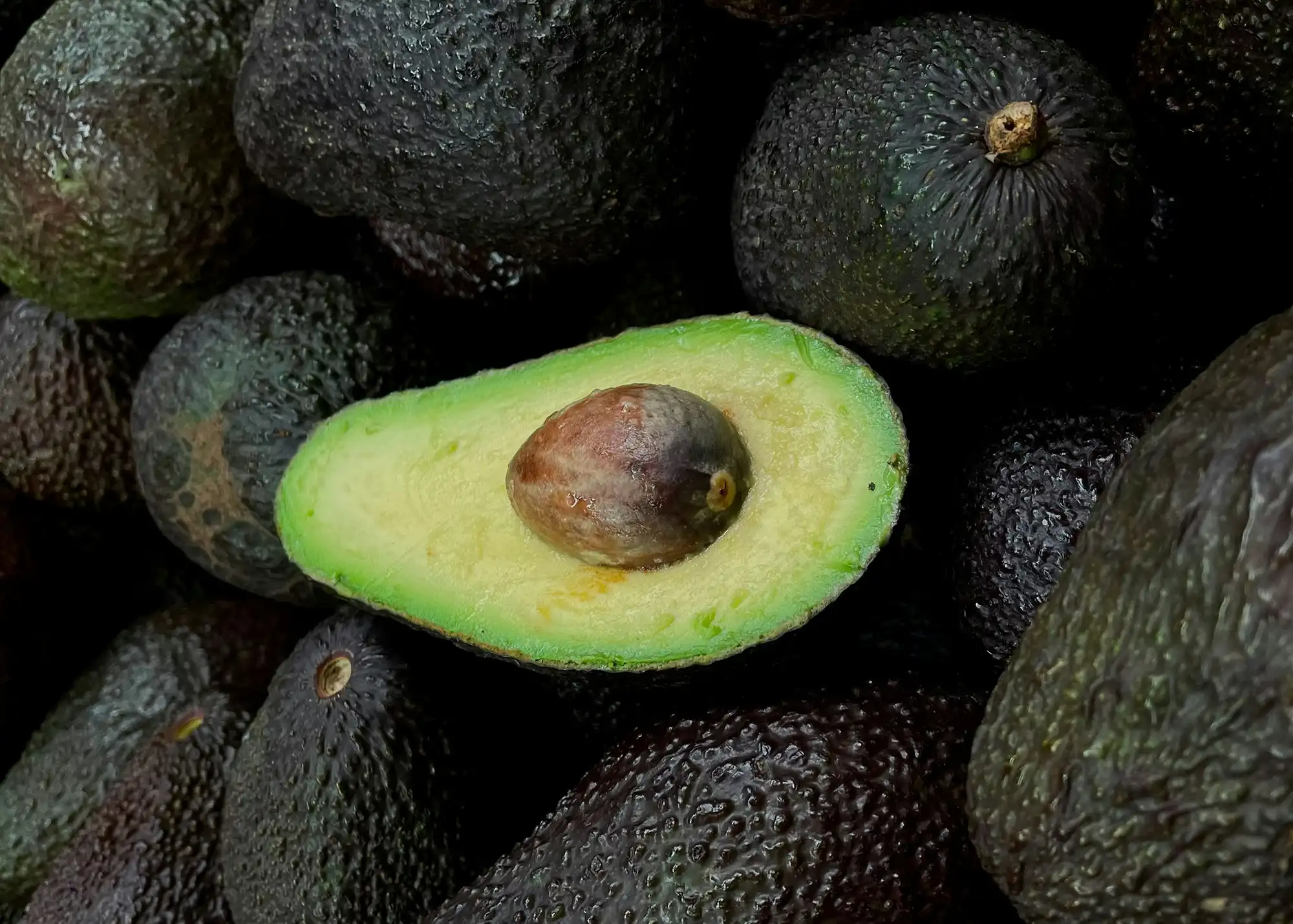 Haas Avocado Delicious New Zealand grown avocados